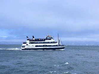 Golden Gate National Recreation Area Selects Alcatraz Cruises, LLC to  Provide Alcatraz Passenger Ferry and Associated Services - Golden Gate  National Recreation Area (U.S. National Park Service)